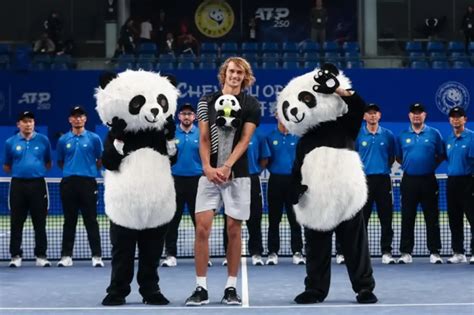 atp chengdu|zverev chengdu.